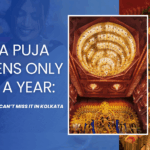 Durga Puja Happens Only Once a Year Here’s Why You Can’t Miss It in Kolkata